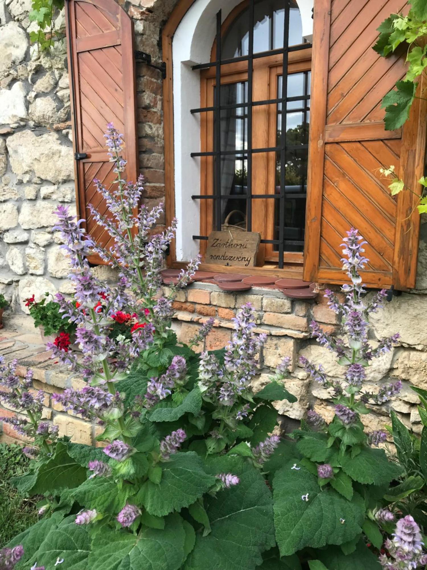 Cifrapince Es Vendeghaz Villa Tordas Екстериор снимка